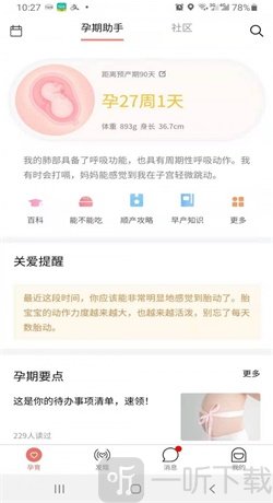 蝶窝孕育