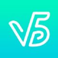 V5大玩家
