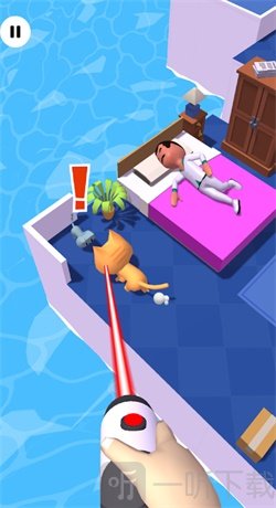 寻找我的小猫