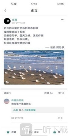 轻读小说