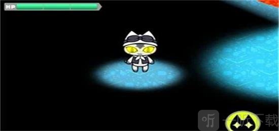 猫闪光
