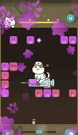 神奇的猫科牙医