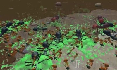 模拟地下蚁