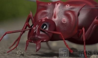 模拟地下蚁