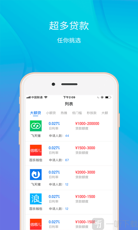 金旋风贷款