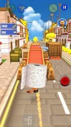 厕纸猫跑