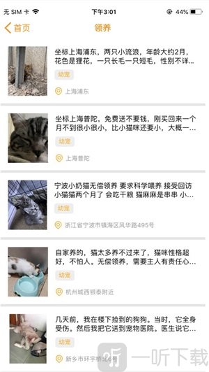 宠爱社