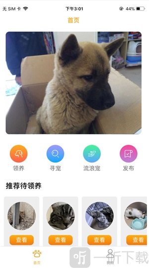 宠爱社