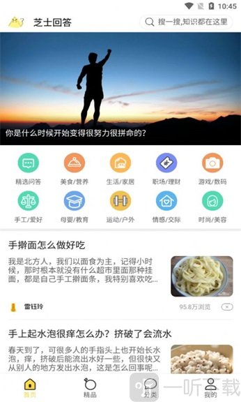 芝士回答