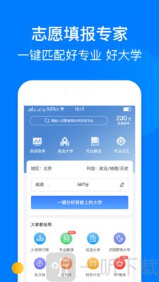 报志愿