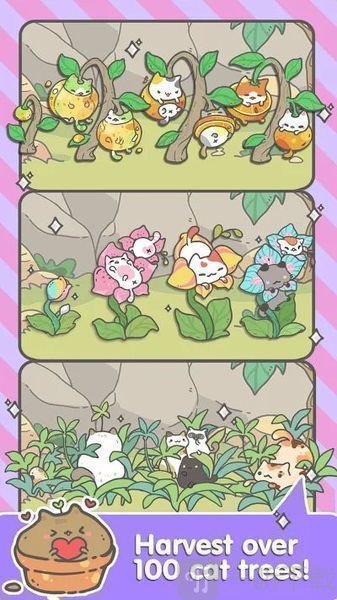 My CatPots