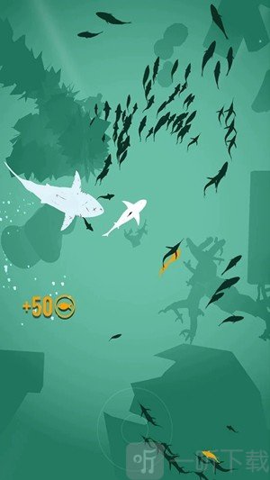 浅滩鱼群
