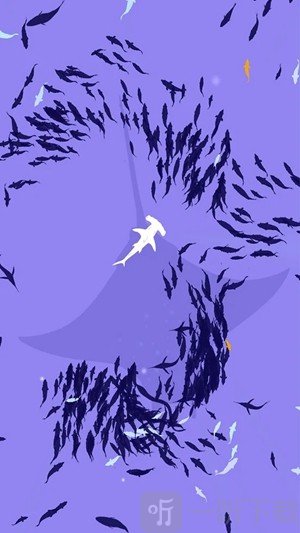 浅滩鱼群