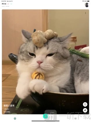 Ta趣
