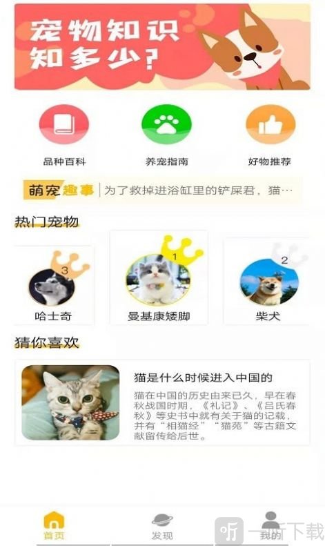 宠物知识全书