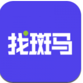 找斑马