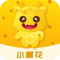 小赢乐花借钱