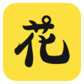闪闪花花