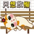 放懒花喵