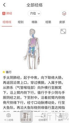 经络穴位3D