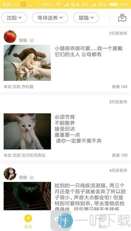 宠物领养