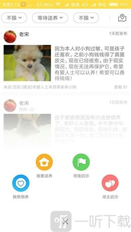 宠物领养