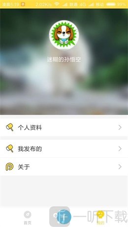 宠物领养