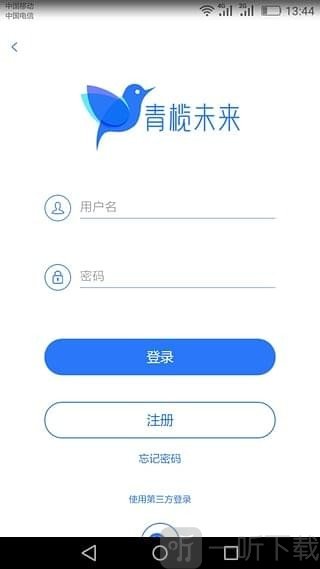 青榄未来