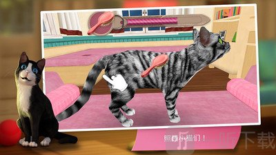 猫舍