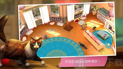 猫舍
