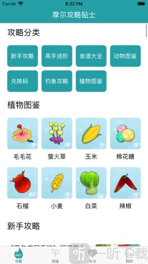 摩尔攻略贴士
