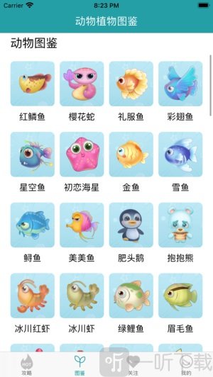 摩尔攻略贴士