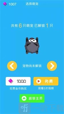 冲吧柯基