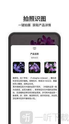 图片搜索
