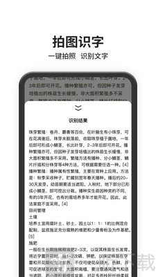 图片搜索