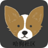 哈狗社区