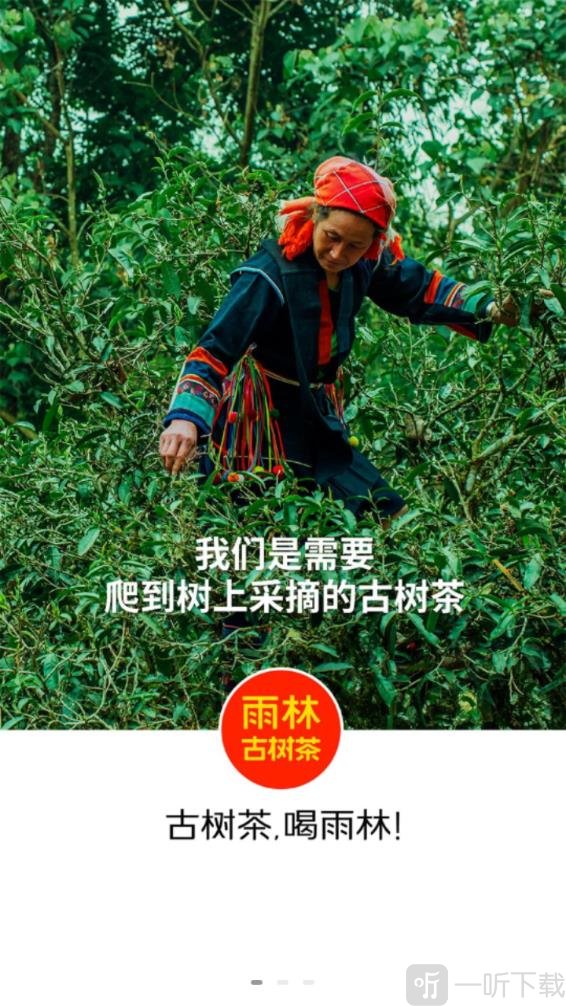 雨林易购