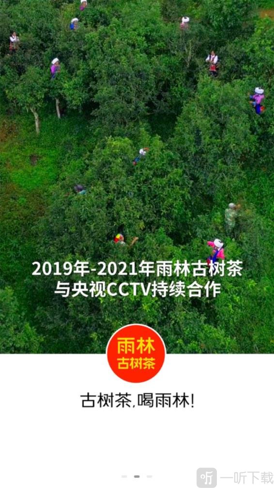 雨林易购