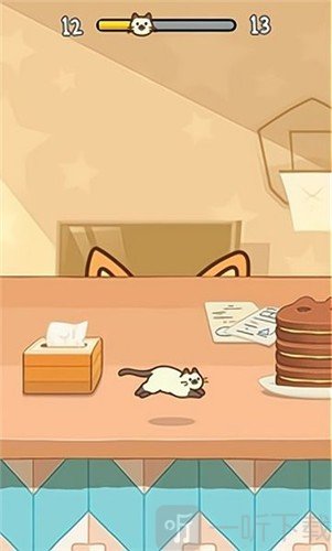小猫捉迷藏