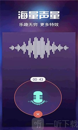 和平开黑变声器