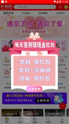 桂柳网