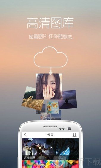 花瓣壁纸