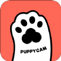 puppycam