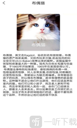 随身动物园