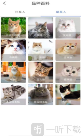 随身动物园