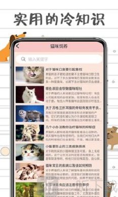 小猫交流器
