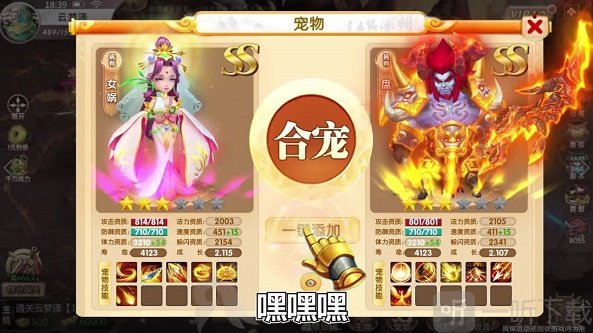 天天来捉宠
