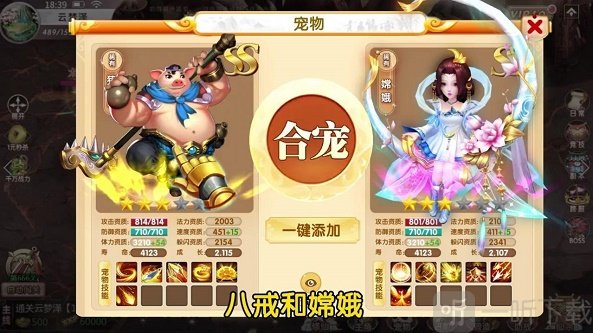 天天来捉宠