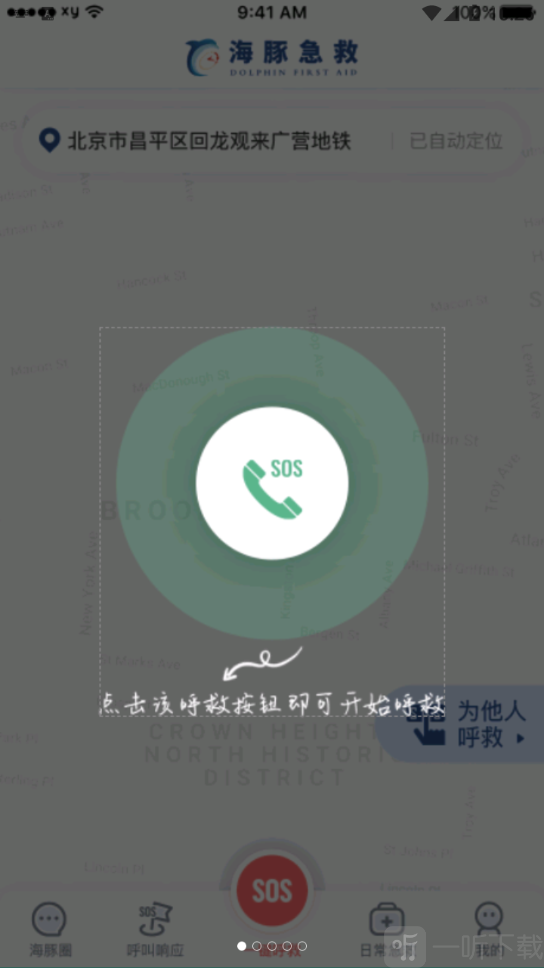 海豚急救
