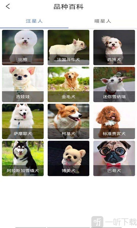 贝贝宠物百科